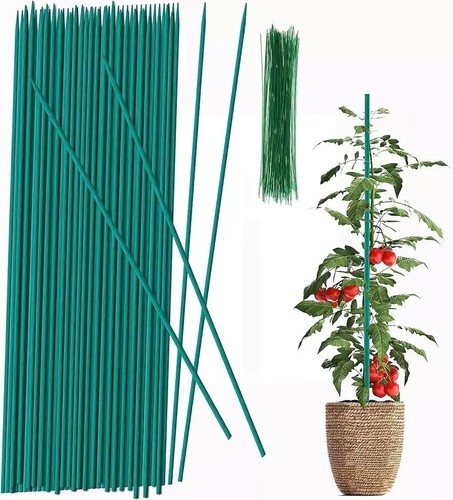 Green plant flower - flower, bamboo