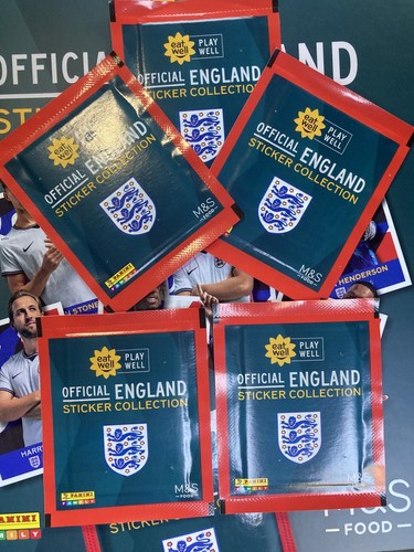 Panini fifa world cup - fifa,