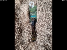 Wainwrights Wainwright Dog Collar Small New 25 - 35.5 cm