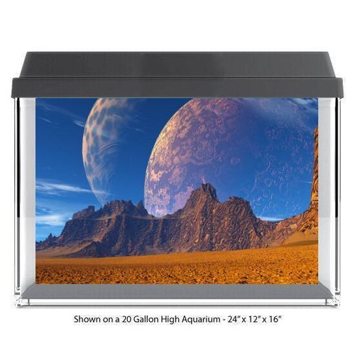 Futuristic planetary view fish - planetary,