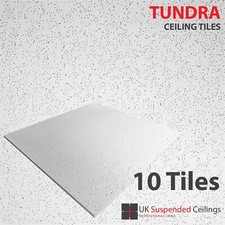 Tundra office ceiling tiles - office,