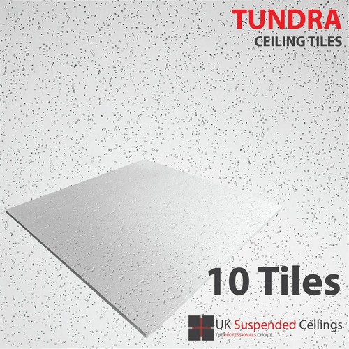 Tundra office ceiling tiles - office,