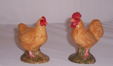 QUAIL Buff Orpington Hen &