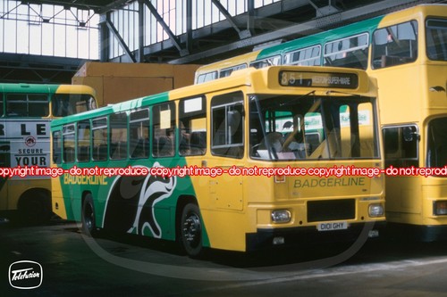 Bus photo badgerline d101ghy - bus,