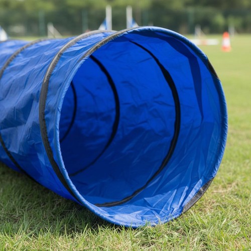 Dog agility tunnel easy - tunnel, setup