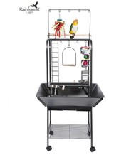 Rainforest jungle parrot - parrot, play