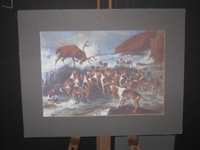 Staghounds,Hunting,Devon &