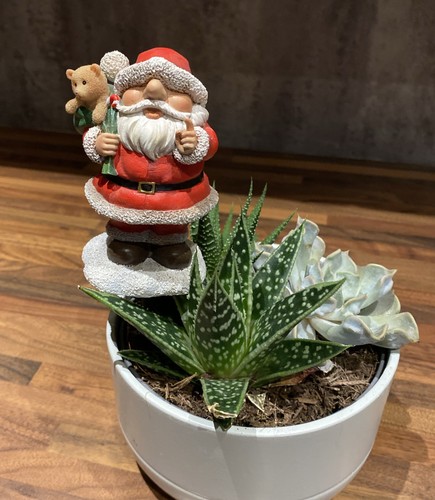Santa plant pal 10cm - santa,