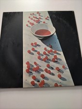 Paul McCartney Vinyl Record