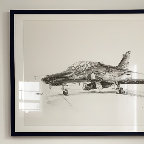 Hawk graphite drawing - (uk),