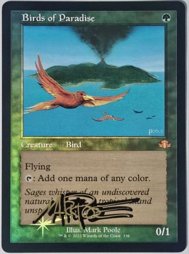Foil birds paradise - of, retro