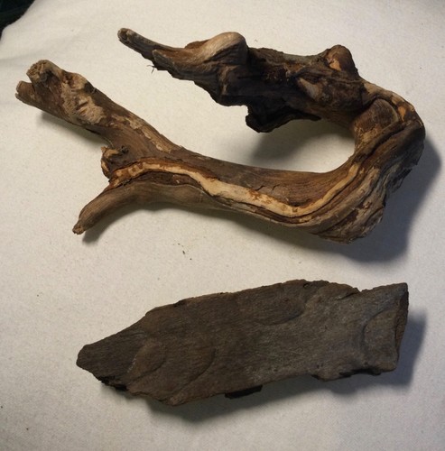 Driftwood