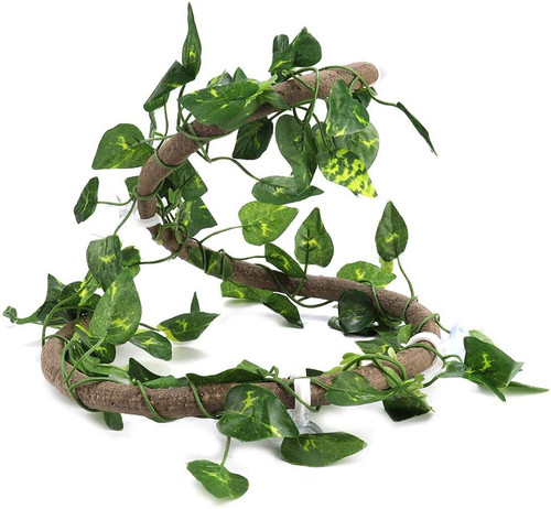 Reptile vines flexible - reptile, vines,