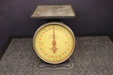Antique Vtg  American Family
