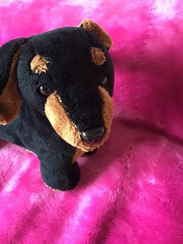 Gosh designs cute - cute, dog