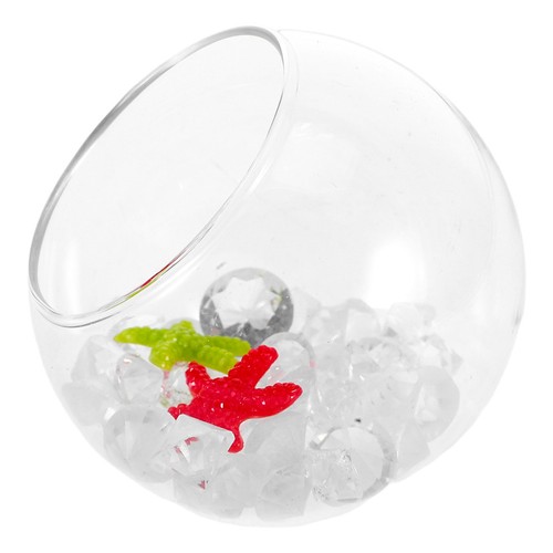 Tropical fish tank accessories - tank,