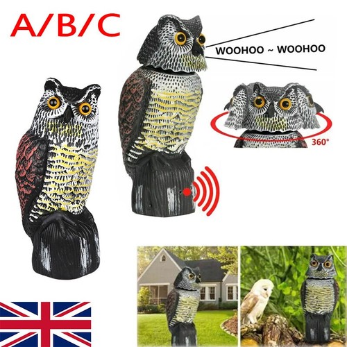 Large realistic owl decoy - realistic,