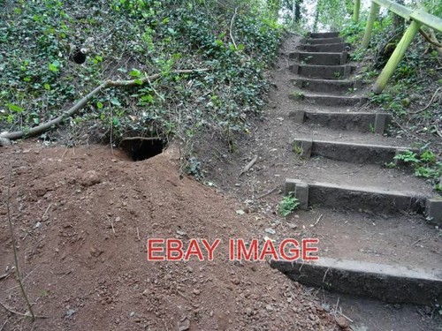 Photo badger sett - ,