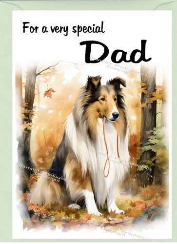 Rough collie dog - collie, blank