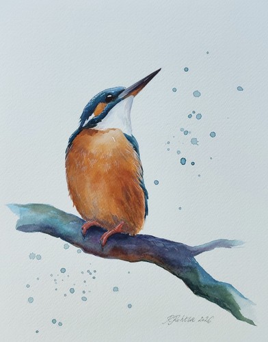 Kingfisher original - kingfisher,