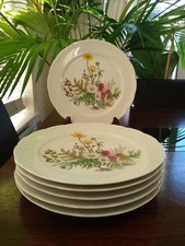 Vintage Mitterteich Bavaria Dinner Plates 9.5" x6 Scalloped Floral Sunflower VGC