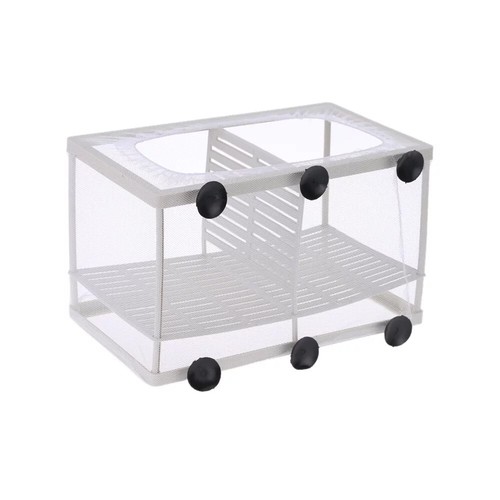 Aquarium fish tank - fish,
