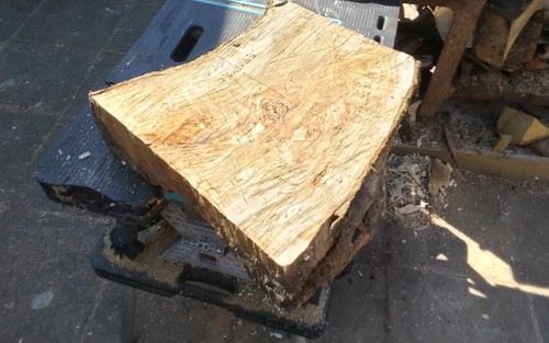Spalted ash bowl blank wood - ash,