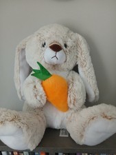 Cute rabbit holding carrot - rabbit,