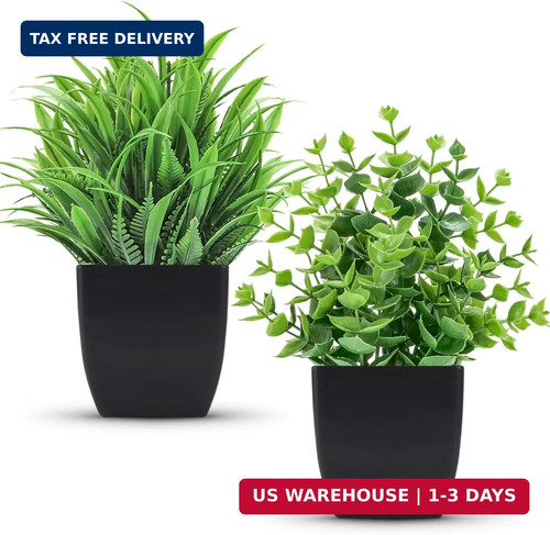 Pack fake plants - pack,