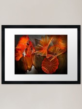 Sunset Persian Wall Framed Art