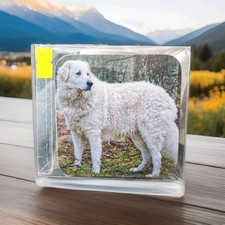 Cup & Coaster Of A White