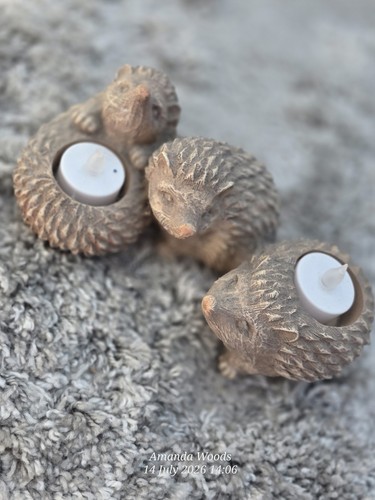 Hedgehog tea light - hedgehog,