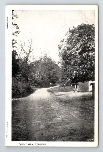 England old dairy terling - dairy,,