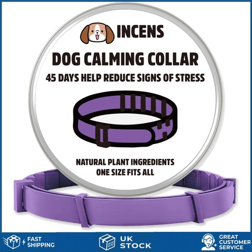 Soothing lavender dog calming - soothing,
