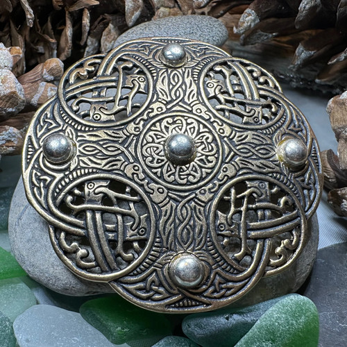 Anglo saxon galloway - anglo,