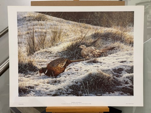 Steven townsend pheasants - townsend,