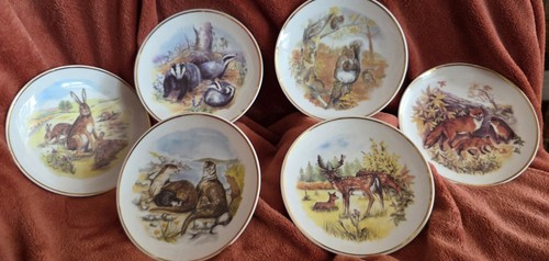 Vintage set readers - set, of
