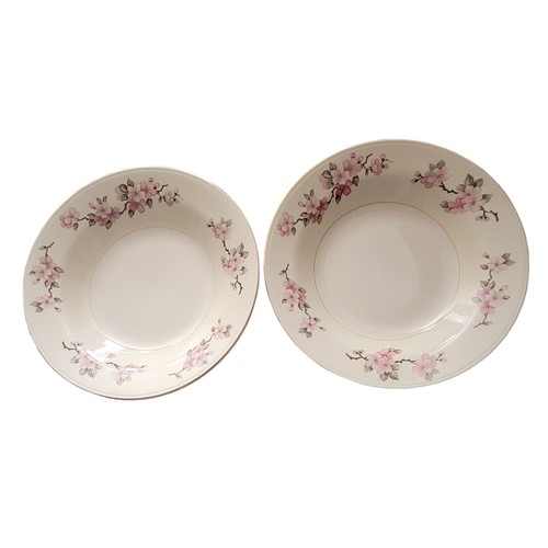 Two eggshell nautilus homer - two,