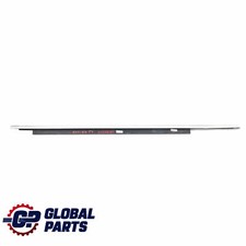 Audi window seal door - window,