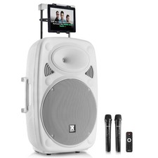 15" Portable Bluetooth Karaoke