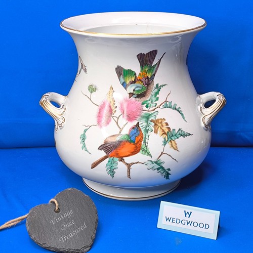 Antique wedgwood hand painted - antique,