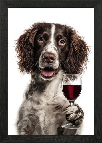 English springer spaniel with - springer,