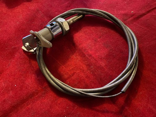 Nos wilmot breeden jaguar - jaguar, xke