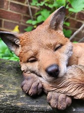 Sleeping baby fox vivid arts - baby,