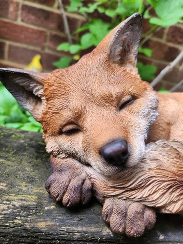 Sleeping baby fox vivid - baby, arts