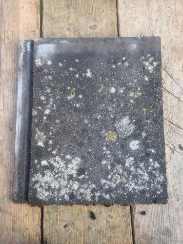 Reclaimed danum roof - reclaimed,