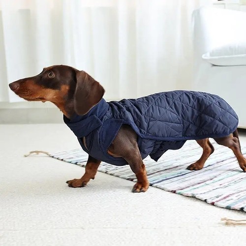 Dog coat for dachshund - coat, –