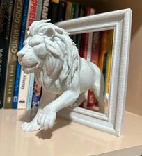 Lion In Frame Illusuon
