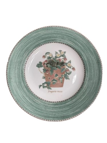 Fragaria vesca salad plate - fragaria,