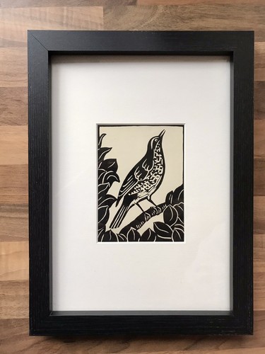 Song thrush framed - ‘song, thrush’-